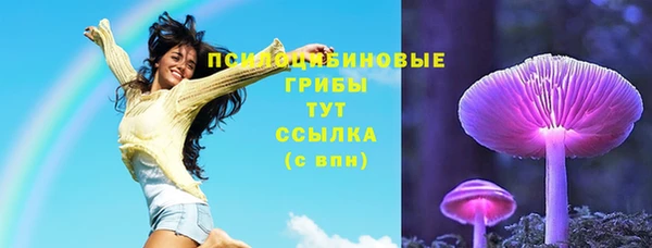 амф Арсеньев